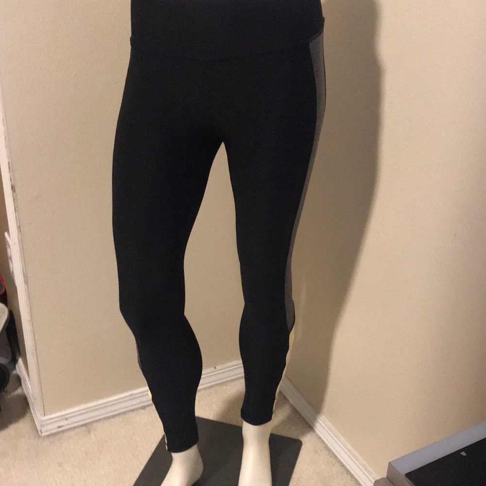 Maurices in motion tight